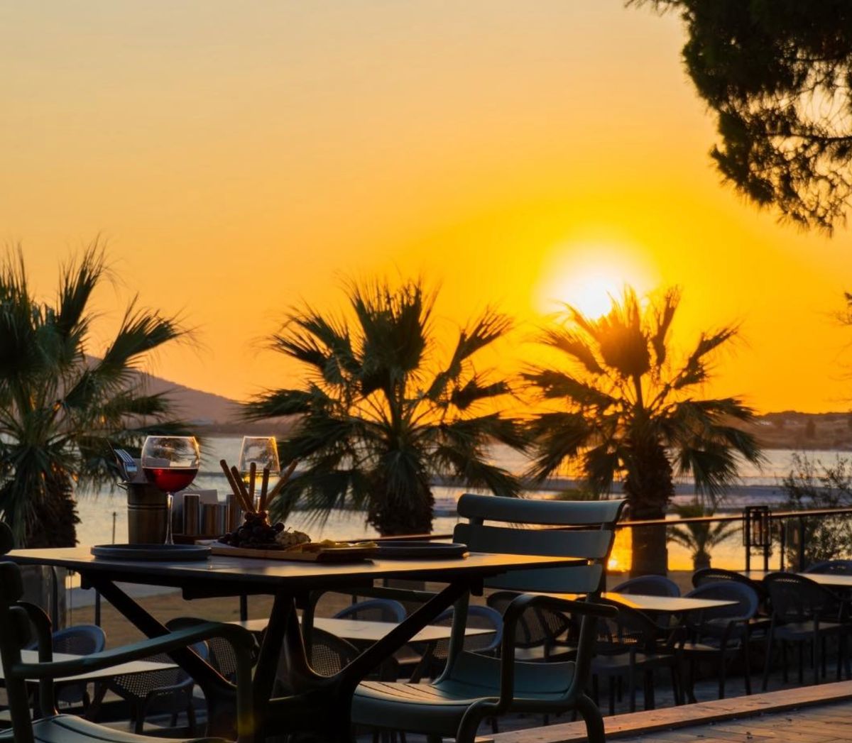 6/26 Ayvalık terasında gün batımı, palmiyeler ve deniz